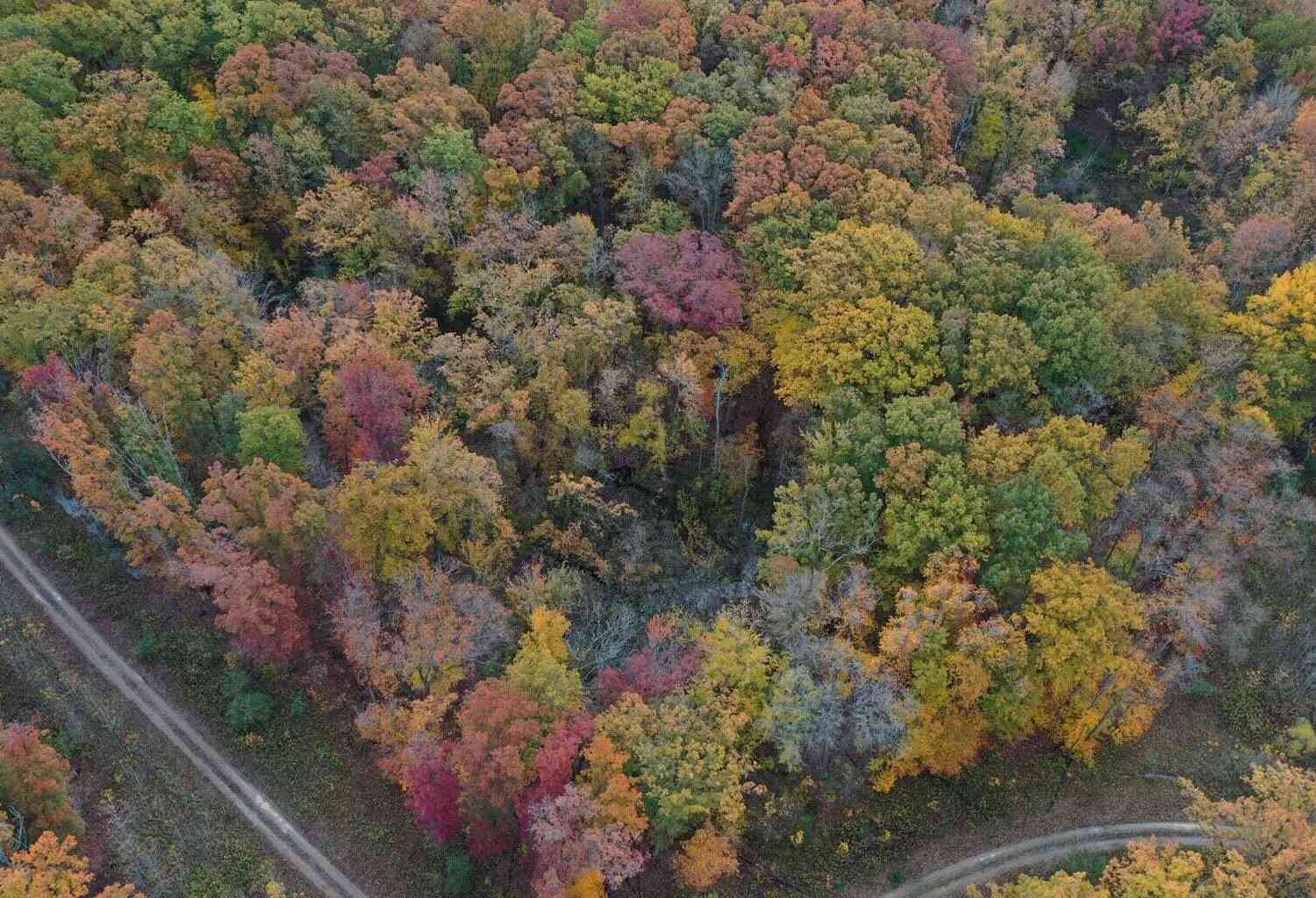 Vacant Land For Sale - Meadowood Lane #LOT 2<br/> Lakeside, MI 49116