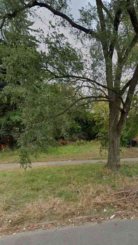 Vacant Land For Sale - 19373 Wyoming Avenue<br/> Detroit, MI 48221