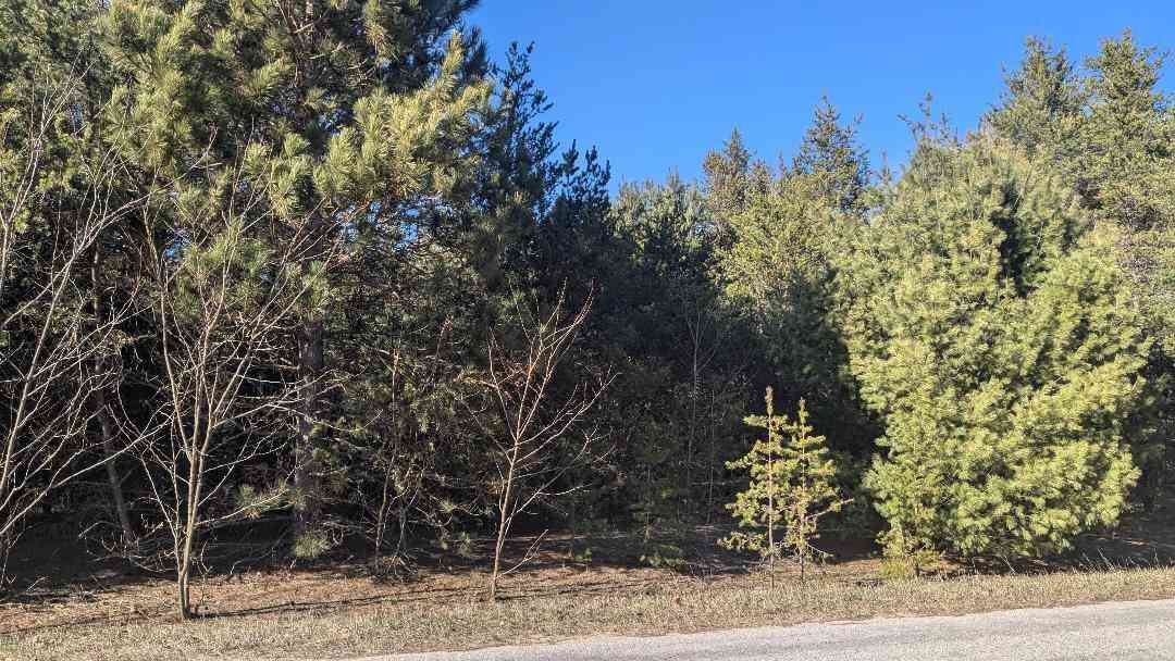 Vacant Land For Sale - Tenth Street<br/> Bear Lake, MI 49614