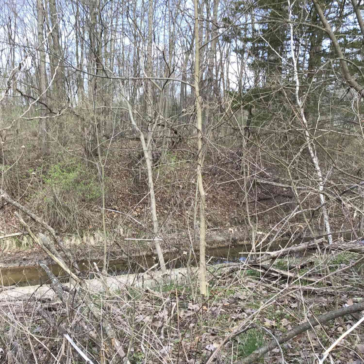Vacant Land For Sale - Briarwood Drive<br/> Otsego, MI 49078