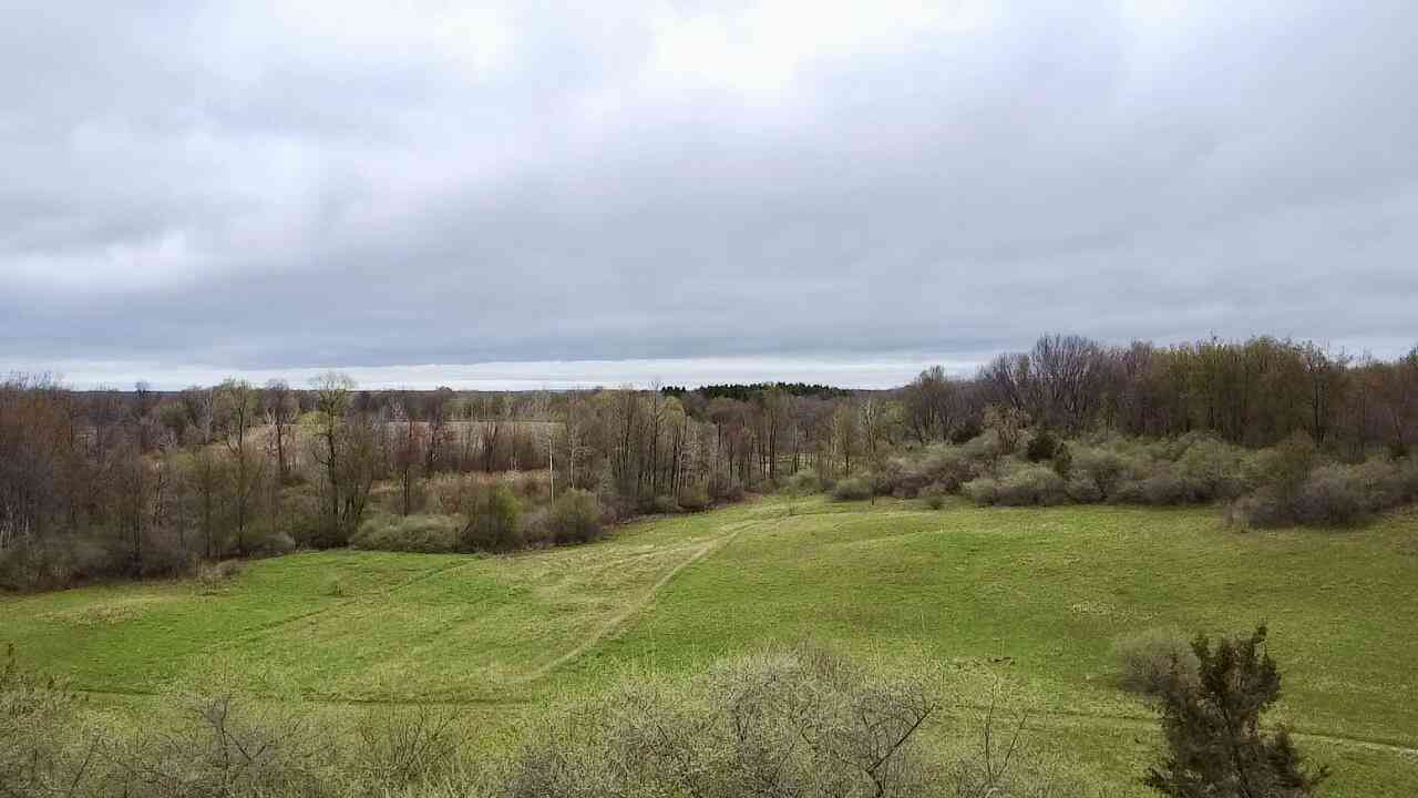 Vacant Land For Sale - 3131 S Lapeer Road<br/> Lapeer County, Metamora, MI 48455