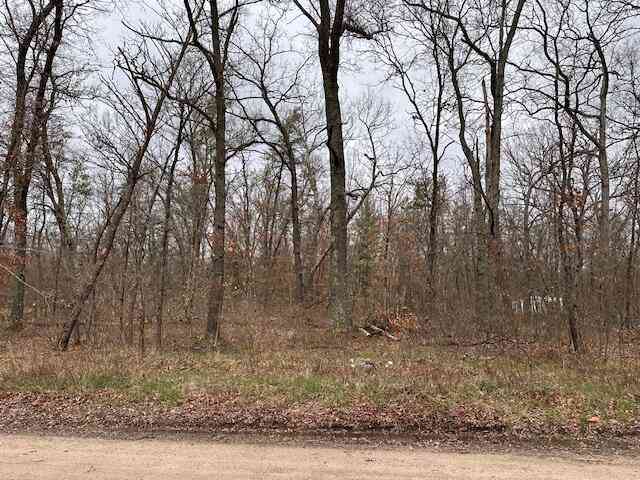 Vacant Land For Sale - V/L W Lakewood Grove Drive<br/> Baldwin, MI 49304