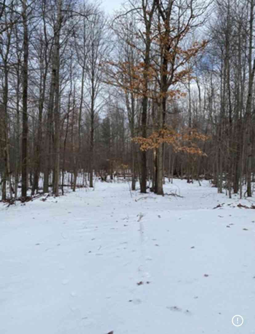 Vacant Land For Sale - 470 N Mc Cord Street<br/> Benton Harbor, MI 49022