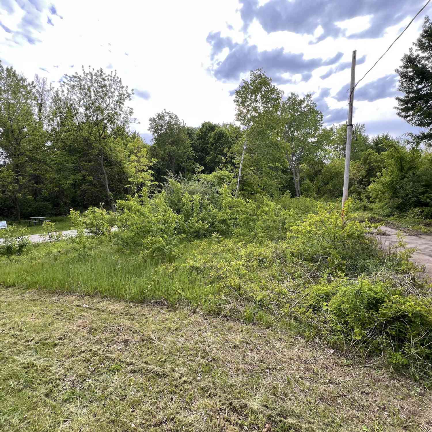 Vacant Land For Sale - 01958 Cr 681<br/> Van Buren County, Lacota, MI 49063