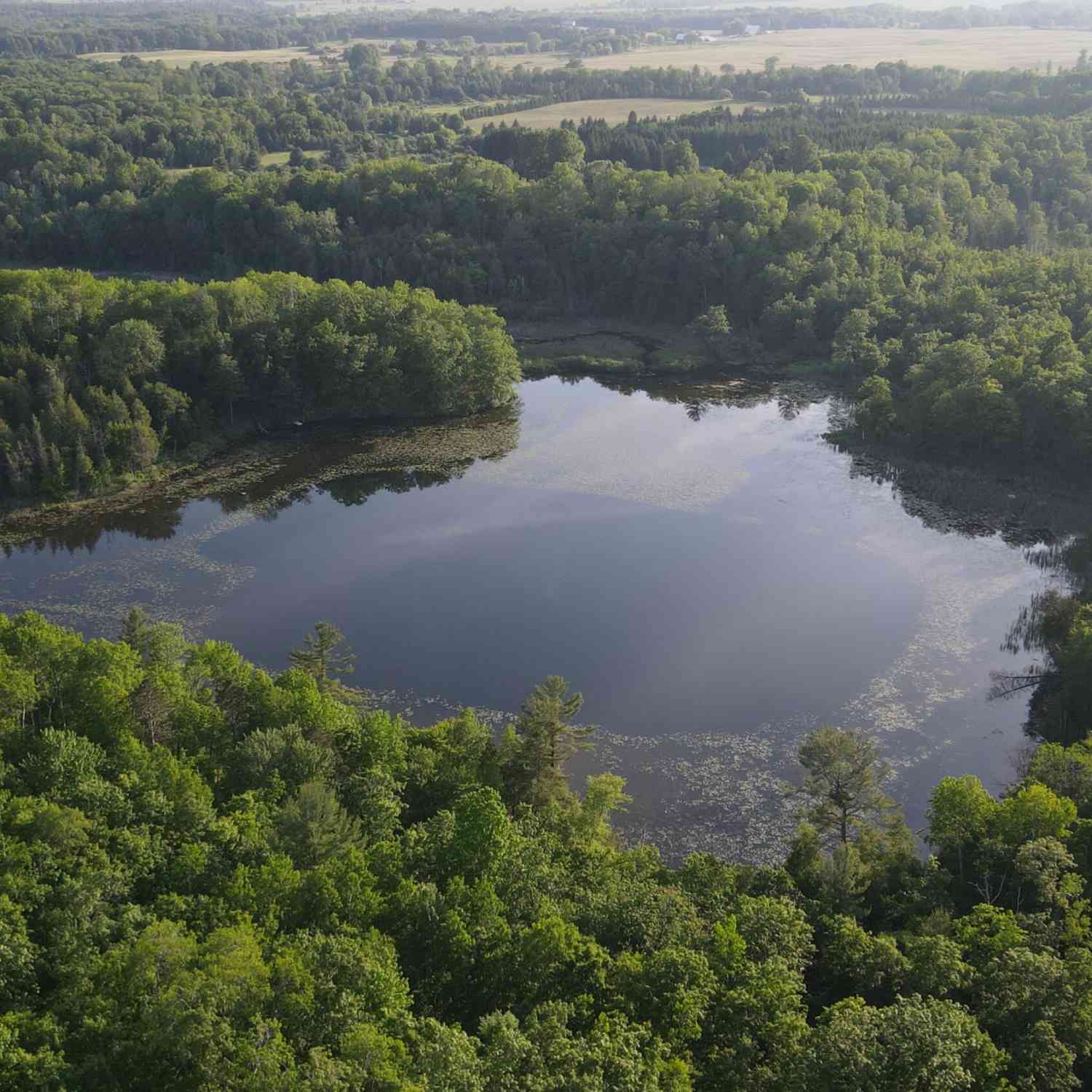 Vacant Land For Sale - 1046 S Bailey Lake Avenue<br/> Gladwin, MI 48624