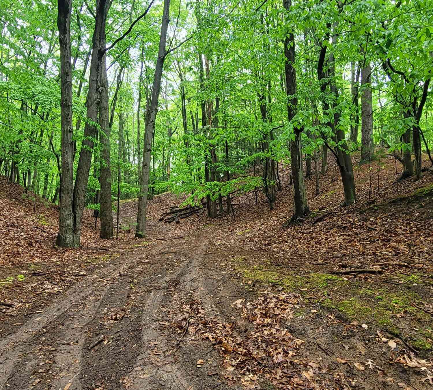 Vacant Land For Sale - Avenue D<br/> Mason County, Pentwater, MI 49449
