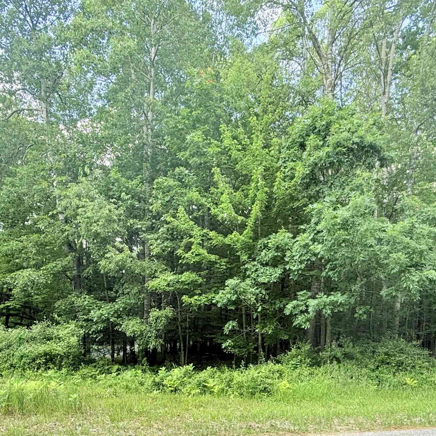 Vacant Land For Sale - 9760 Main Street<br/> Canadian Lakes, MI 49346