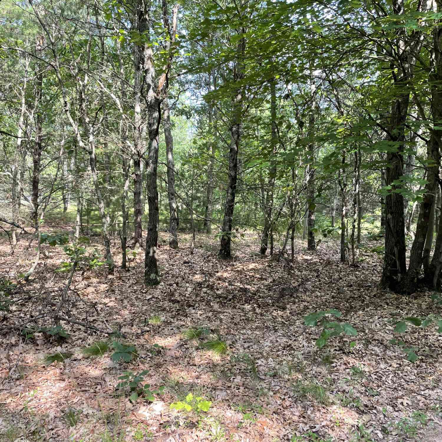Vacant Land For Sale - Ewing Road<br/> Holton, MI 49425