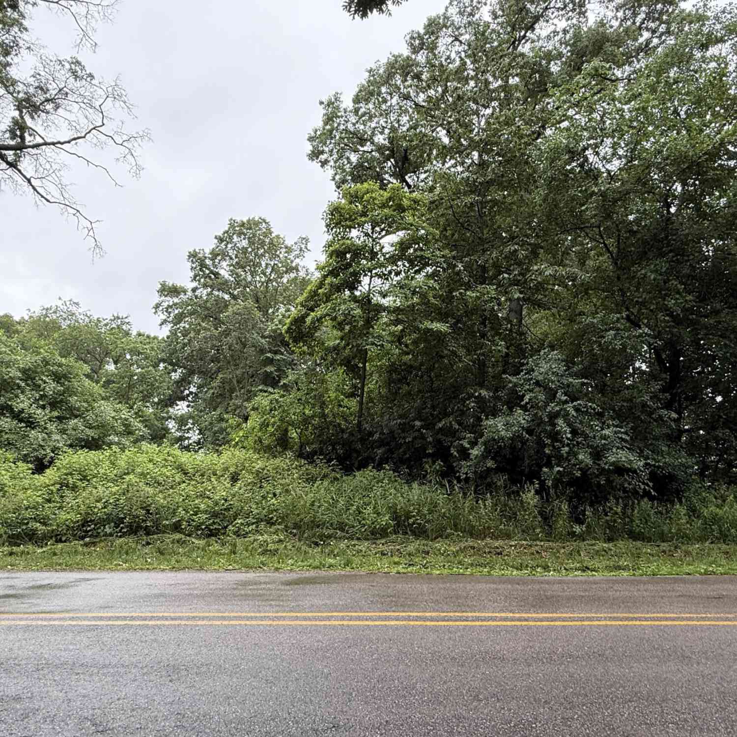 Vacant Land For Sale - 7594 Brickyard Road<br/> Holton, MI 49425