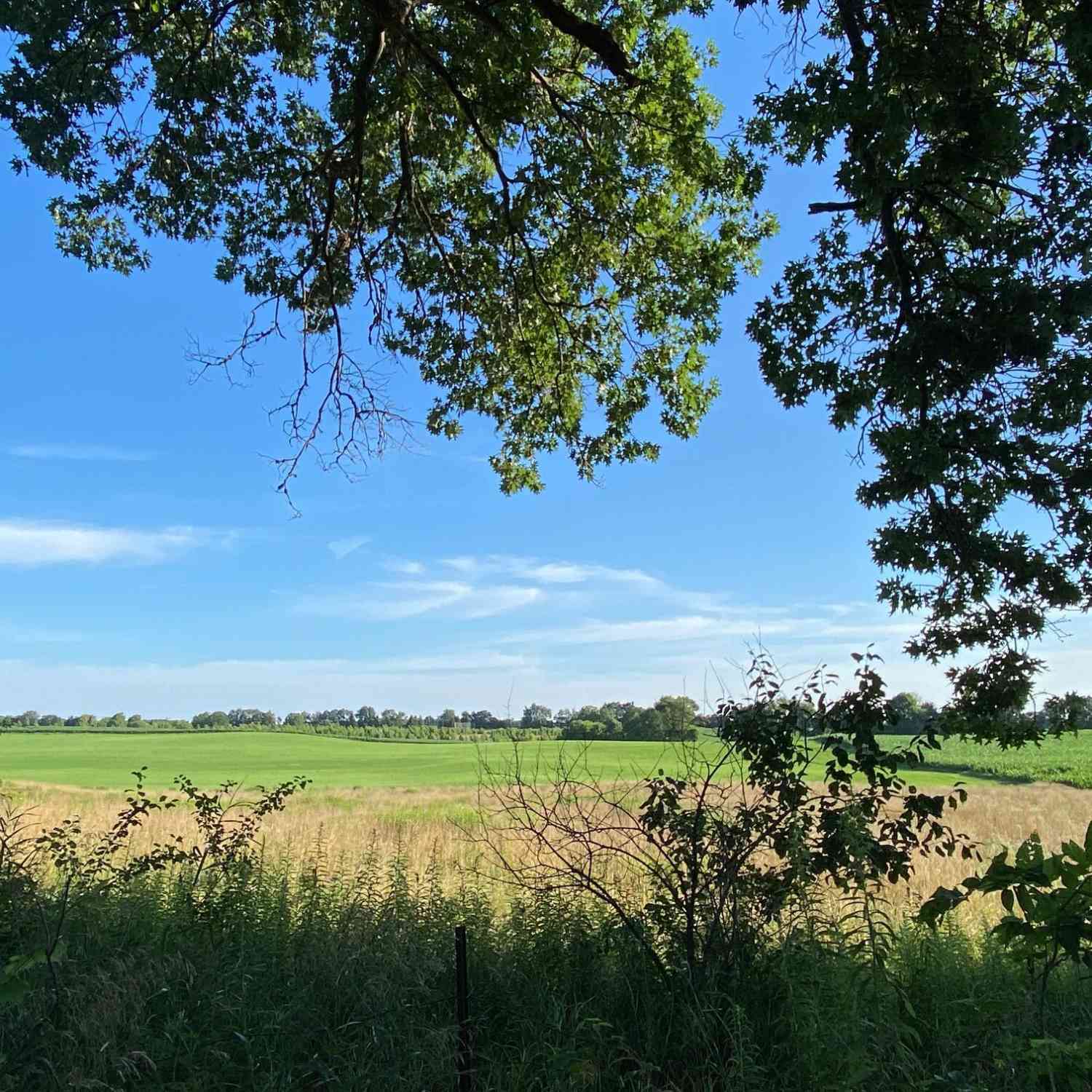 Vacant Land For Sale - 9341 Ef Avenue<br/> Richland, MI 49083