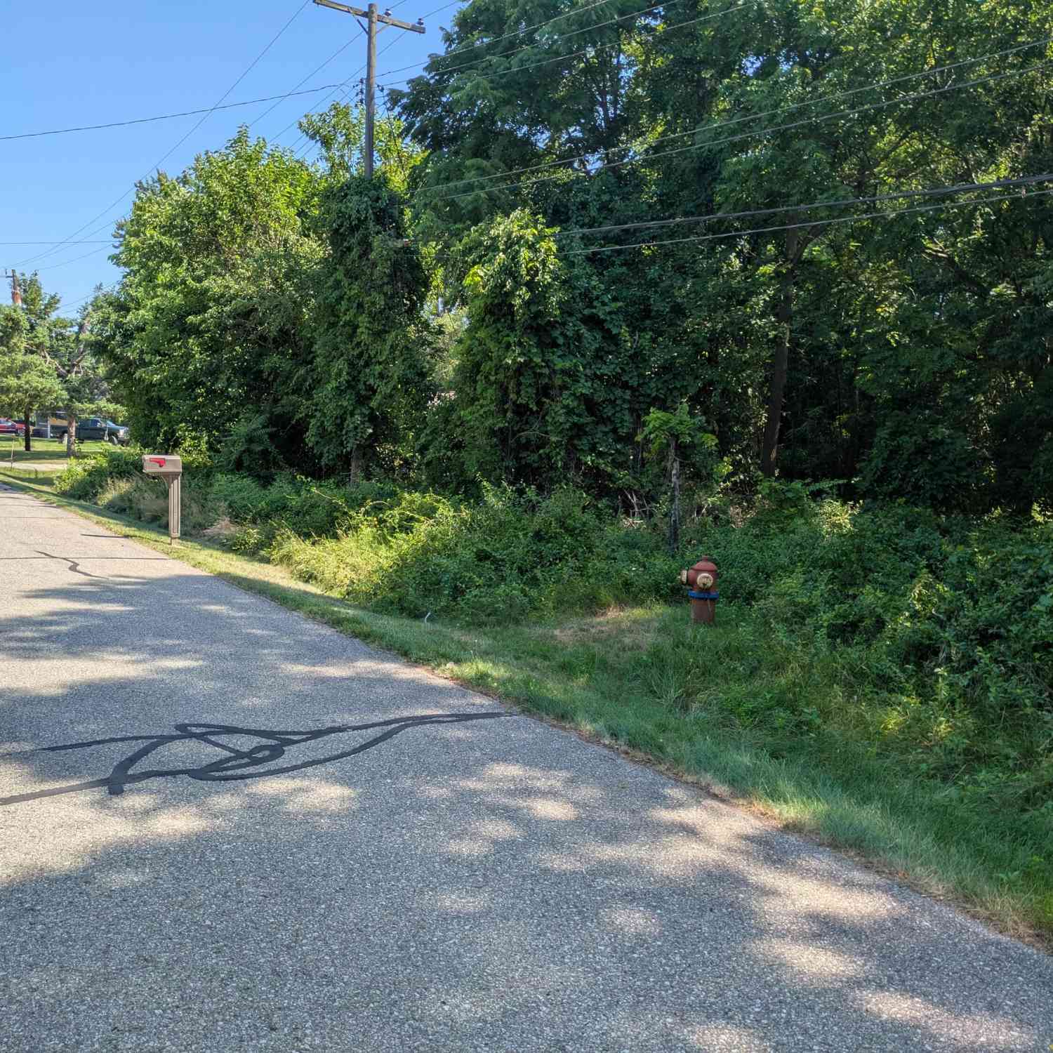 Vacant Land For Sale - 22118 Keefer Street<br/> Southfield, MI 48033
