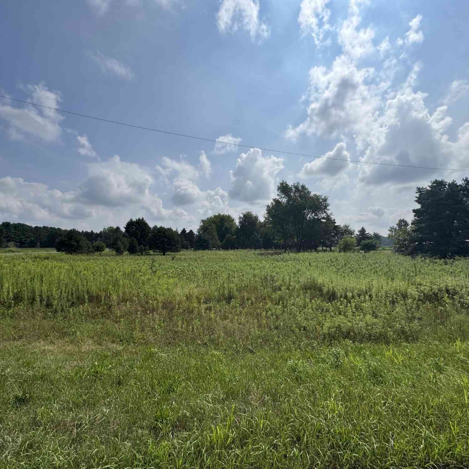 Vacant Land For Sale - E Mn Avenue<br/> Kalamazoo County, Comstock, MI 49041