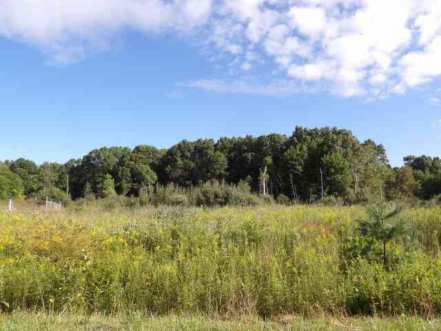 Vacant Land For Sale - 2747 M Drive<br/> Athens, MI 49011