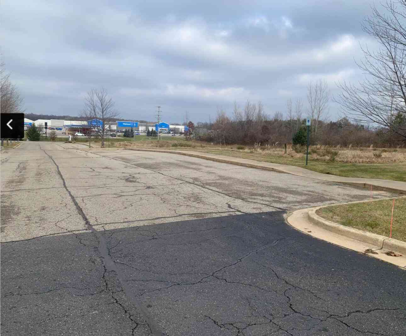 Vacant Land For Sale - VL W Washington Street<br/> Greenville, MI 48838