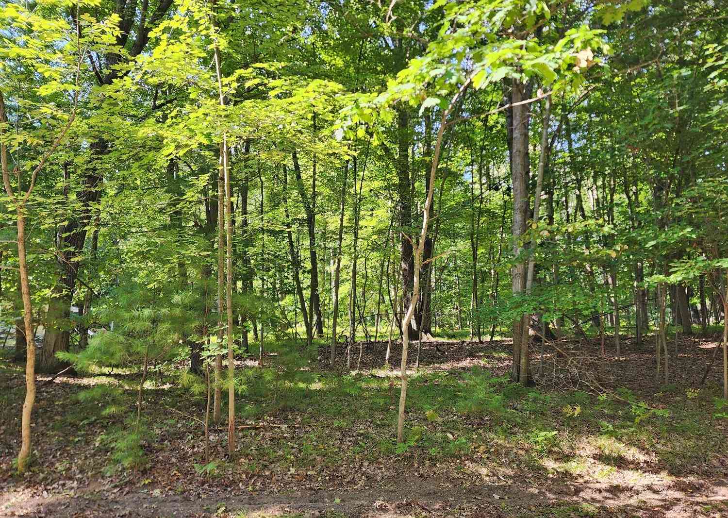 Vacant Land For Sale - 10933 Shawnee Trail #192<br/> Stanwood, MI 49346