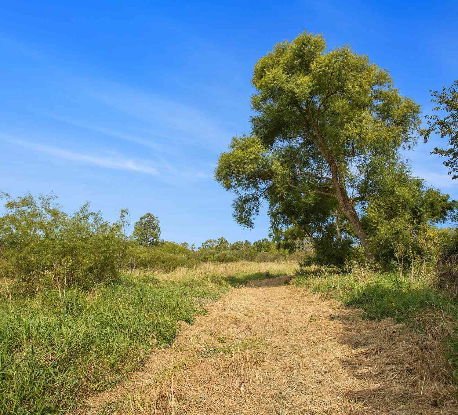 Vacant Land For Sale - Marl Lake Road<br/> Athens, MI 49011