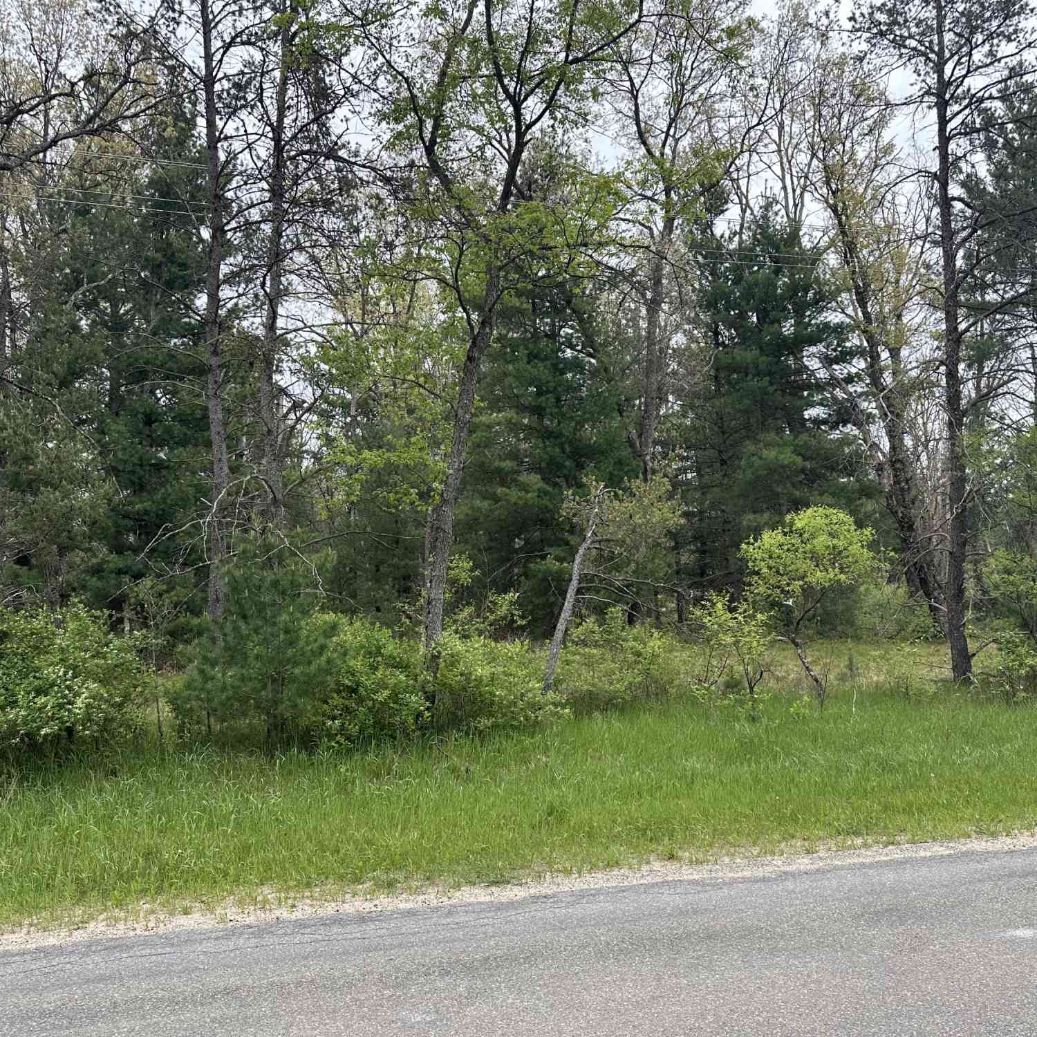 Vacant Land For Sale - 00 S Forman Road<br/> Idlewild, MI 49642