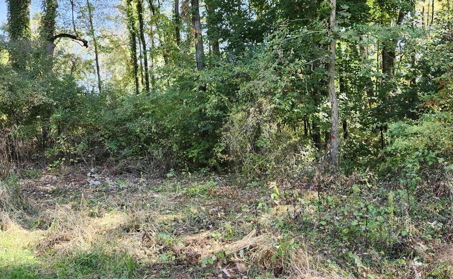 Vacant Land For Sale - 00000 N Shore Drive<br/> Edwardsburg, MI 49112