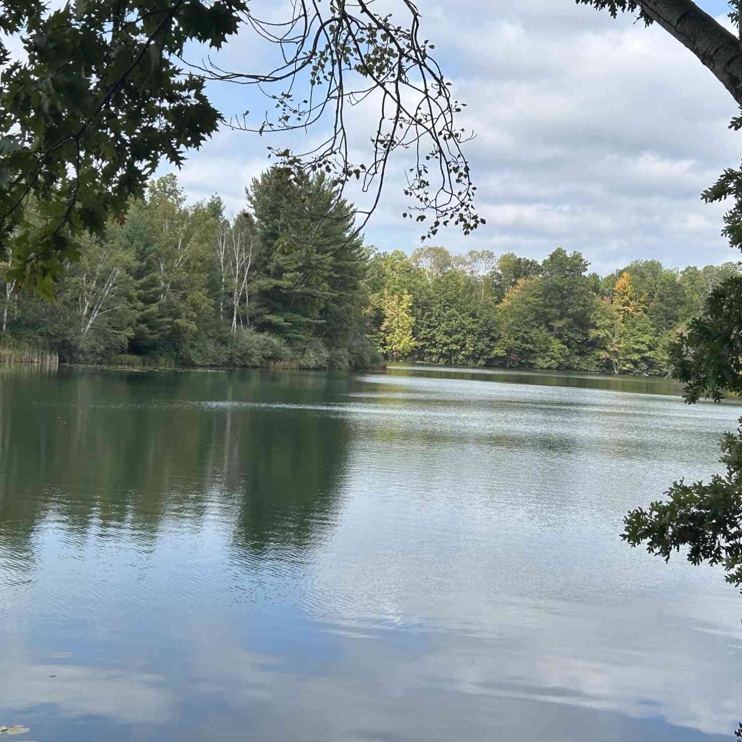 Vacant Land For Sale - 8601 N. Island Drive #41<br/> Canadian Lakes, MI 49346