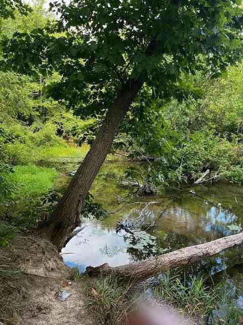 Vacant Land For Sale - 12808 Lincoln Lake Avenue<br/> Gowen, MI 49326