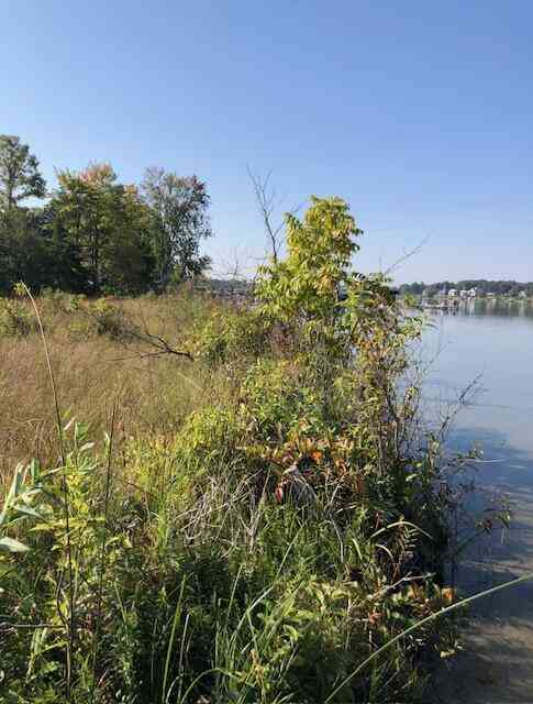 Vacant Land For Sale - 1 Pike Lane<br/> Union, MI 49130