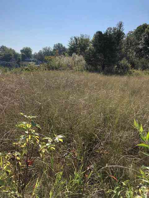 Vacant Land For Sale - 2 Pike Lane<br/> Union, MI 49130