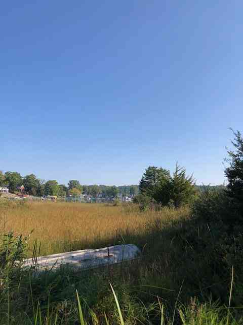 Vacant Land For Sale - 4 Pike Lane<br/> Union, MI 49130