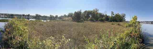 Vacant Land For Sale - 5 Pickeral Avenue<br/> Union, MI 49130