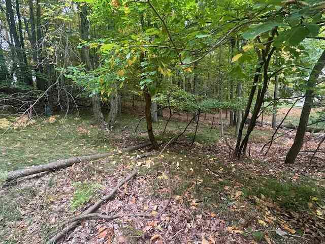 Vacant Land For Sale - 11269 Apache Wells Court #611<br/> Canadian Lakes, MI 49346