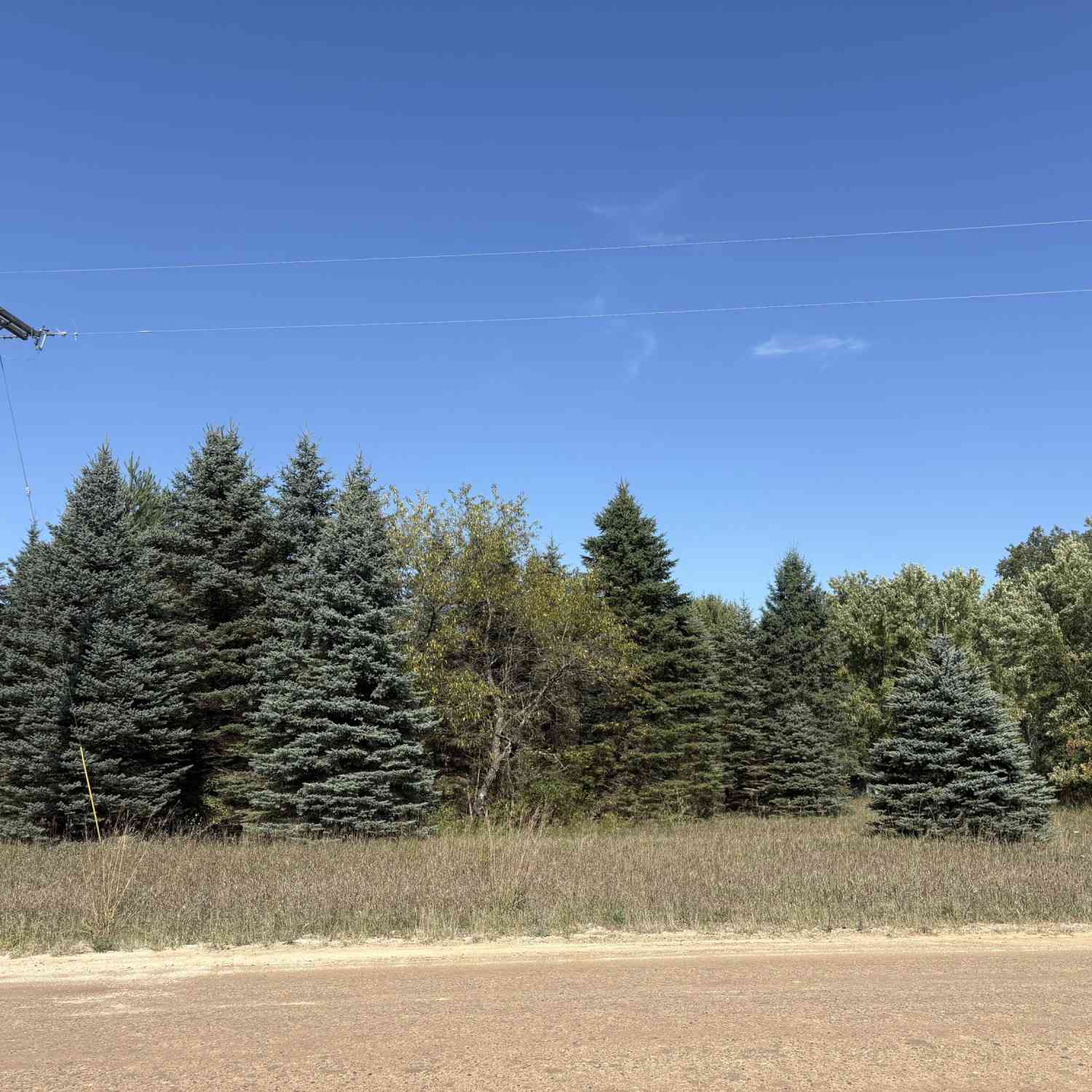 Homes For Sale - V/L 22 1/2 W 22 1/2 Road<br/> Mesick, MI 49668
