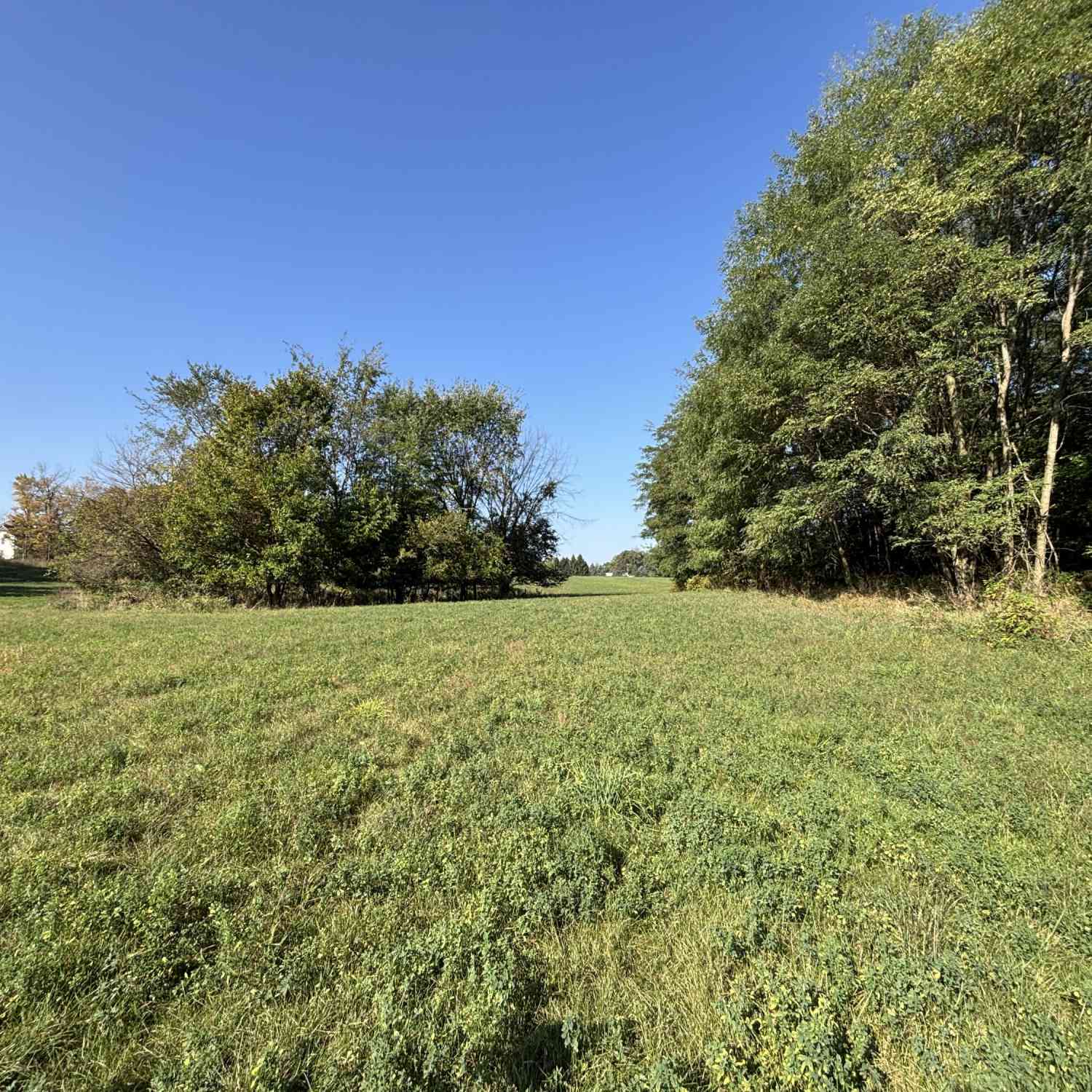 Vacant Land For Sale - LOT 4 & 5 Below Road<br/> Grass Lake, MI 49240