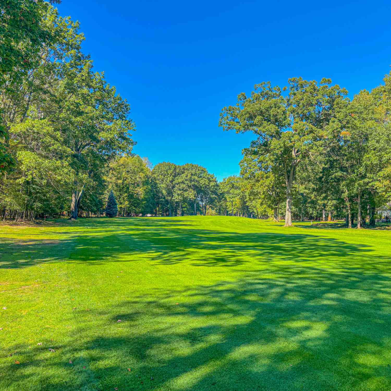 Vacant Land For Sale - 9861 Sunset Drive #305<br/> Canadian Lakes, MI 49346