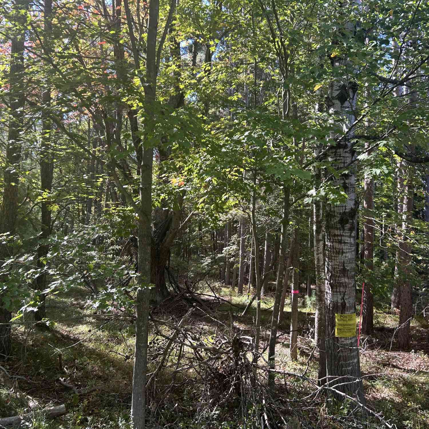 Vacant Land For Sale - 6195 110th Avenue<br/> Stanwood, MI 49346