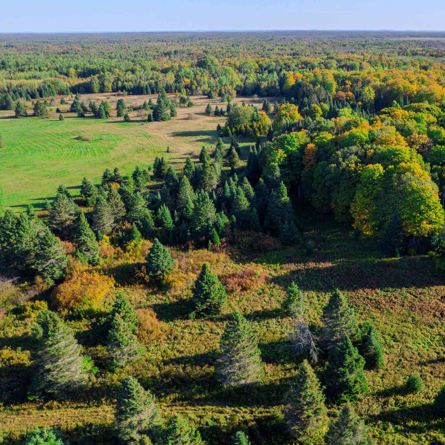 Vacant Land For Sale - LOT 3 E 22 Mile Rd<br/> Pickford, MI 49774