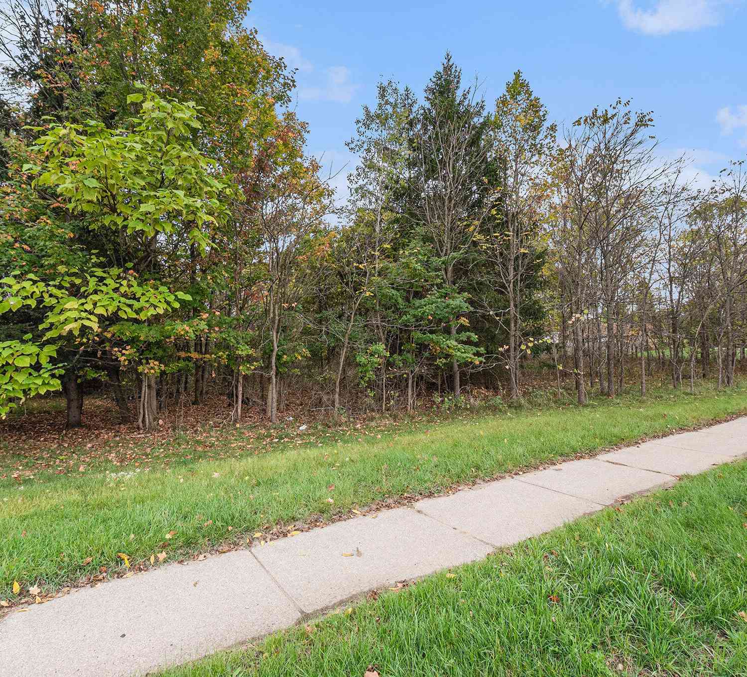 Vacant Land For Sale - 3412 52nd Street<br/> Grand Rapids, MI 49512