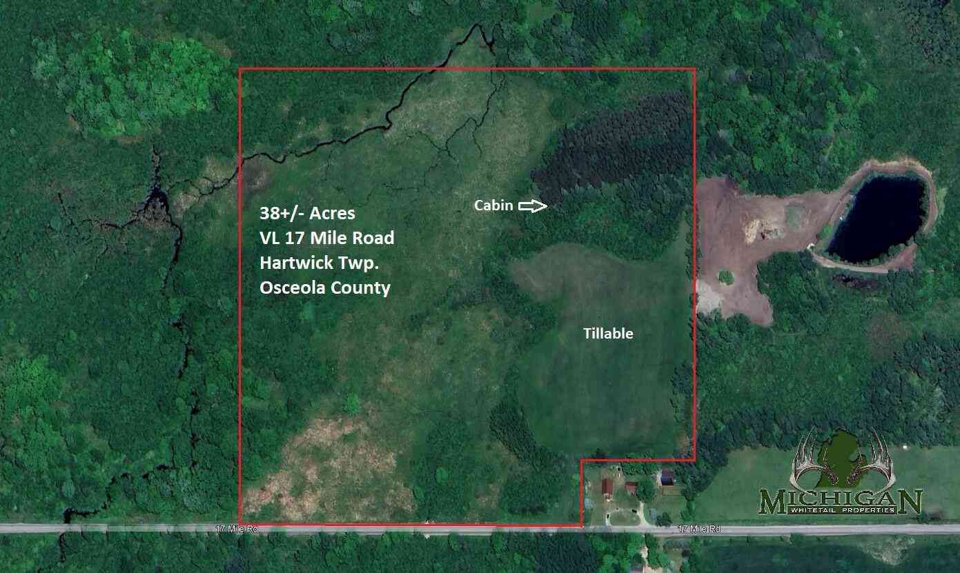 Vacant Land For Sale - Vl 17 Mile Road<br/> Osceola County, Marion, MI 49665