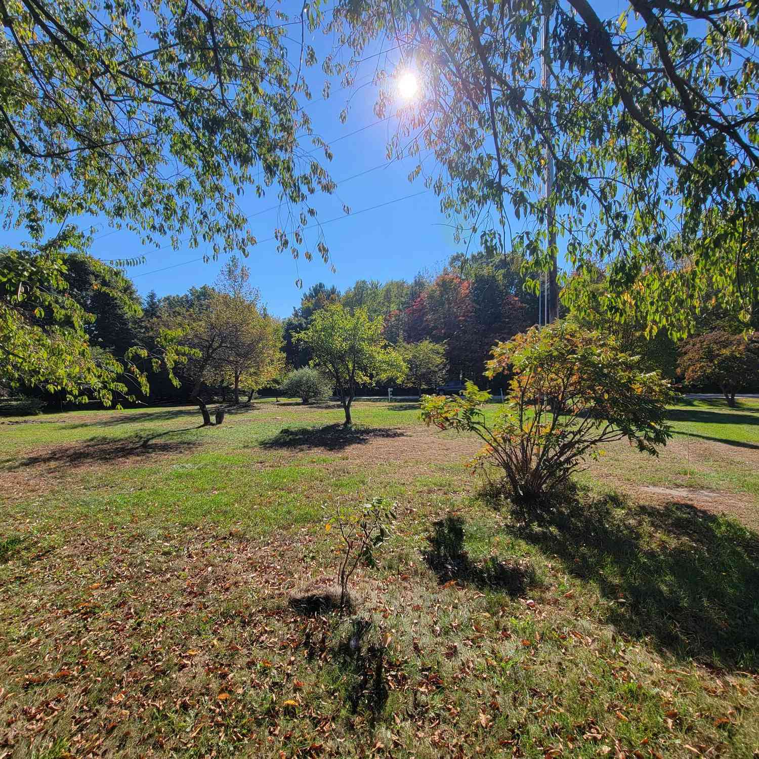 Vacant Land For Sale - VL Johnson Street<br/> Grand Haven, MI 49417