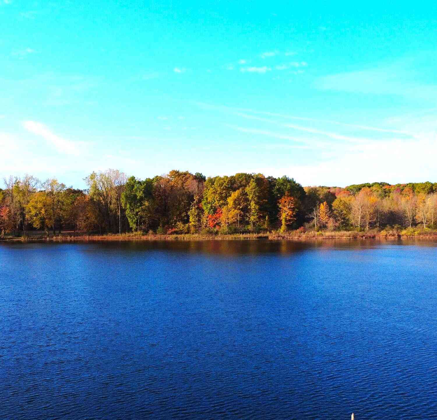 Vacant Land For Sale - 5950 S Lake George Road Road<br/> Dryden, MI 48428
