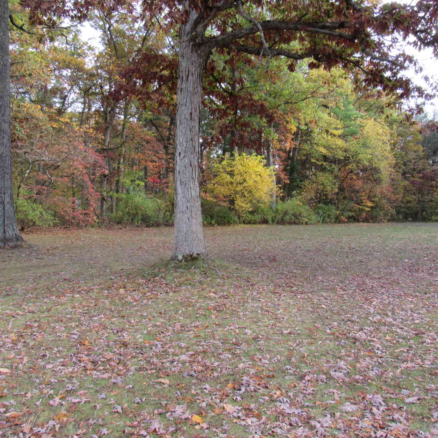 Vacant Land For Sale - 4015 Wilson Beach Road<br/> Twin Lake, MI 49457