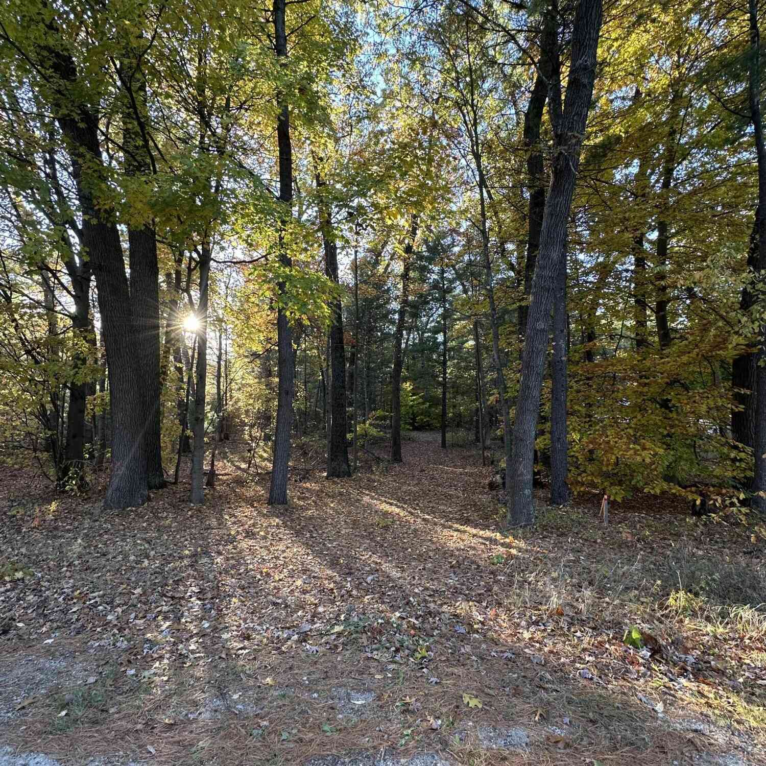 Vacant Land For Sale - 6043 Holton-duck Lake Road<br/> Twin Lake, MI 49457