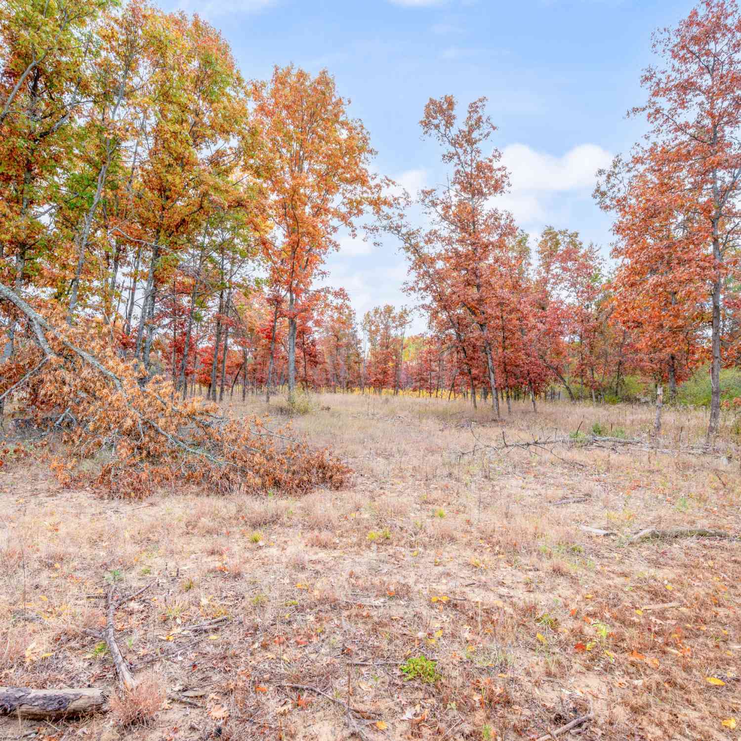 Vacant Land For Sale - V/L 16 Mile Rd<br/> Mecosta County, Big Rapids, MI 49307