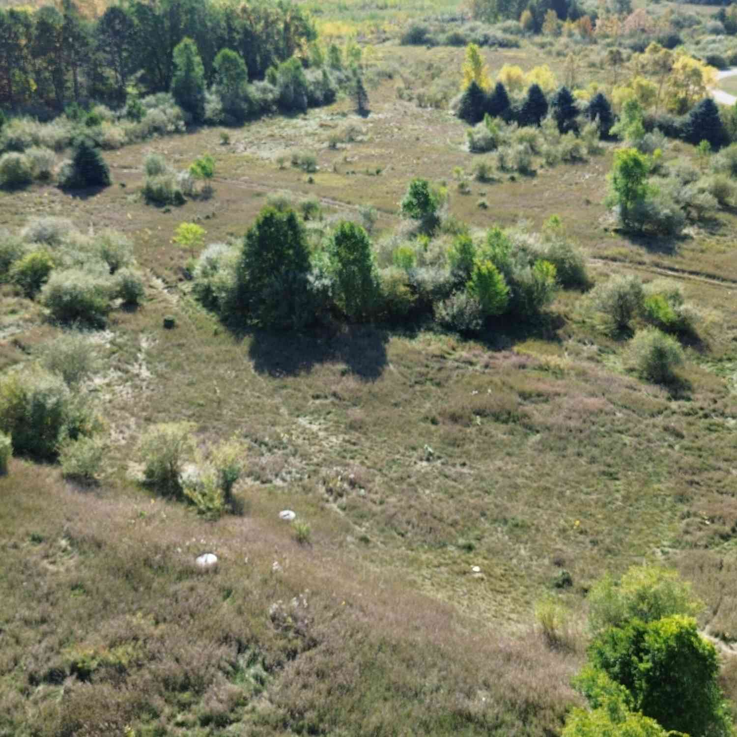 Vacant Land For Sale - LOTS 2 & 3 Fox Lane<br/> Benzonia, MI 49616