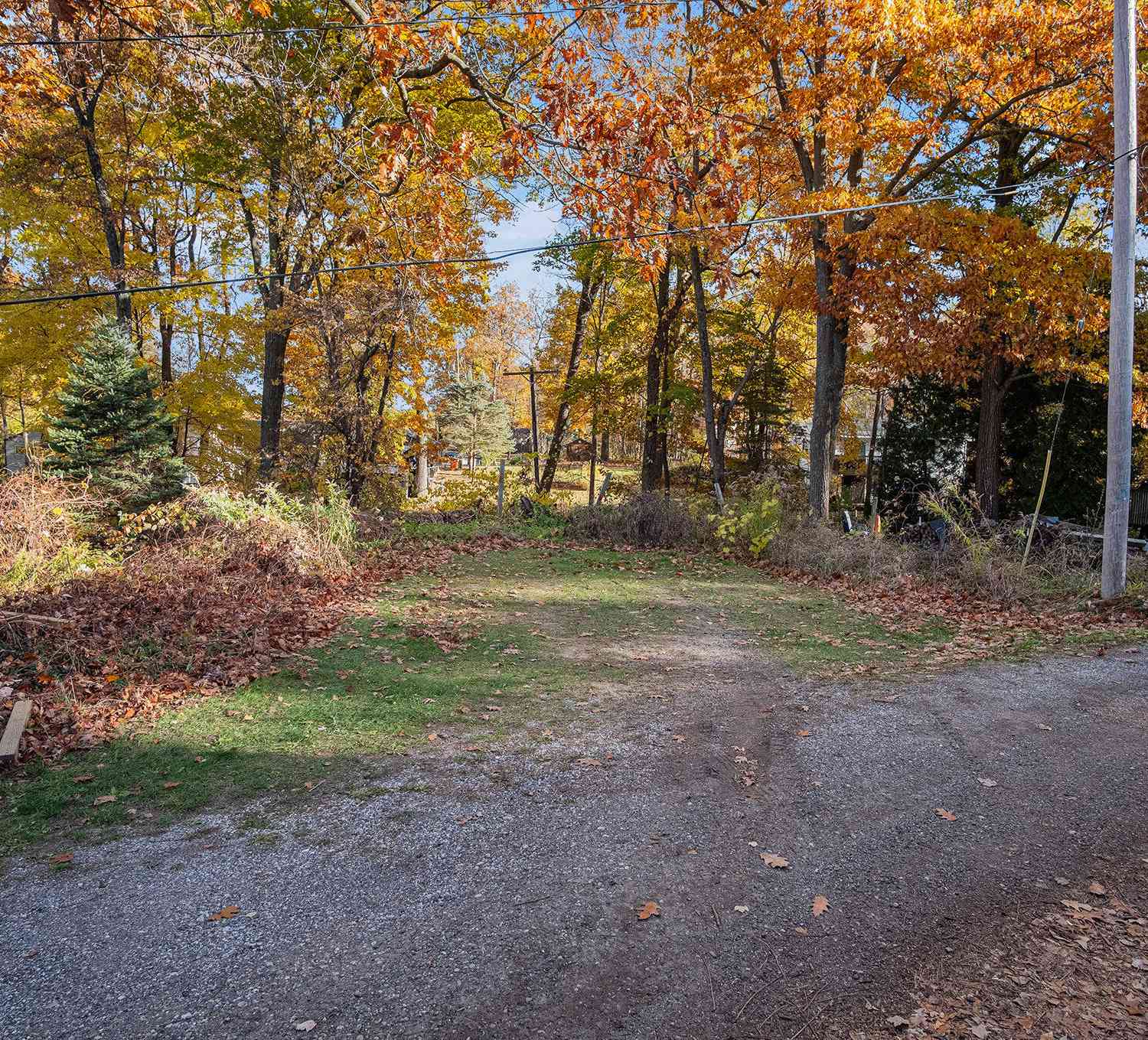 Vacant Land For Sale - 12349 Woodland Park Drive<br/> Belding, MI 48809