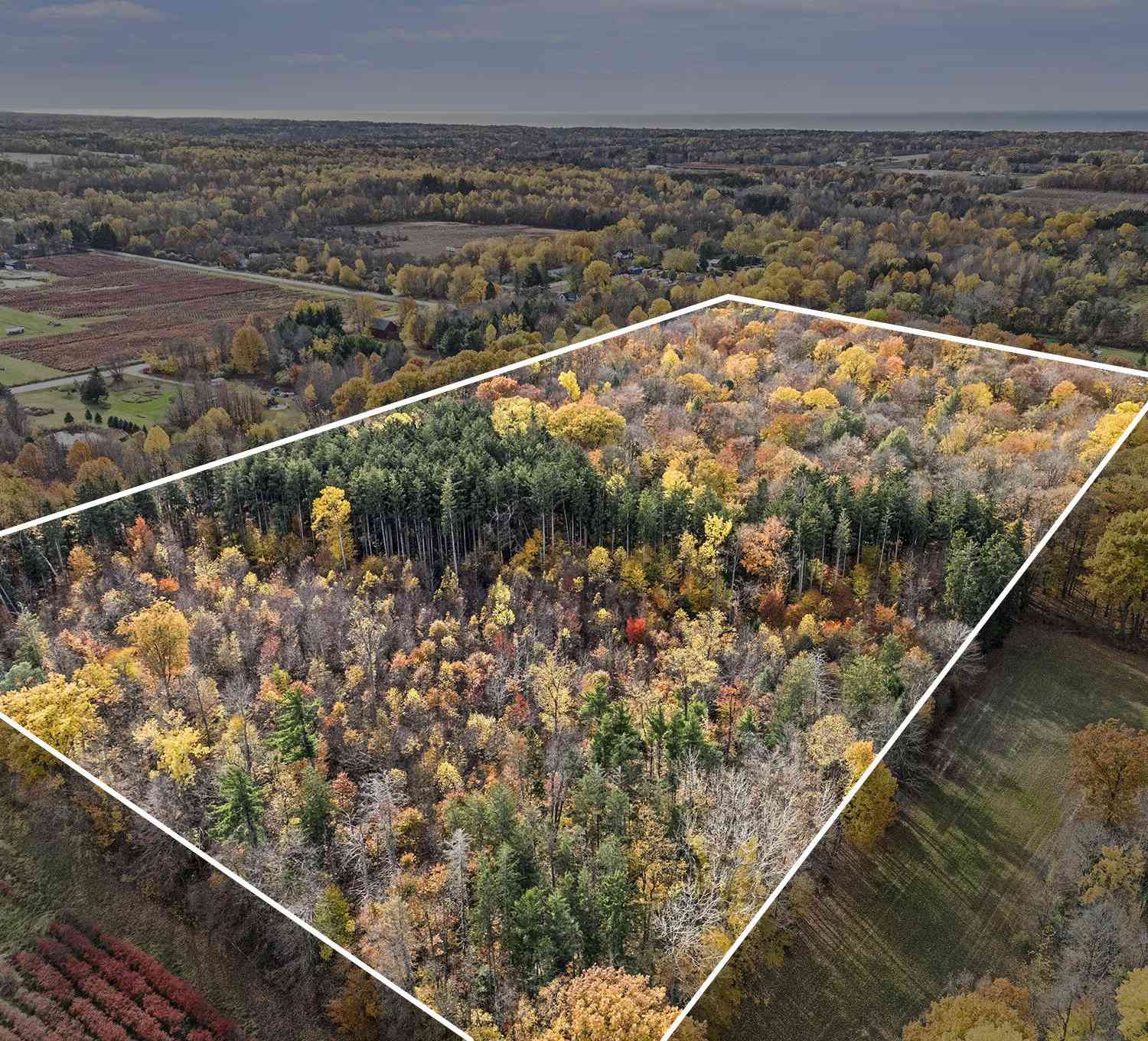 Vacant Land For Sale - 1816 66th Street<br/> Fennville, MI 49408