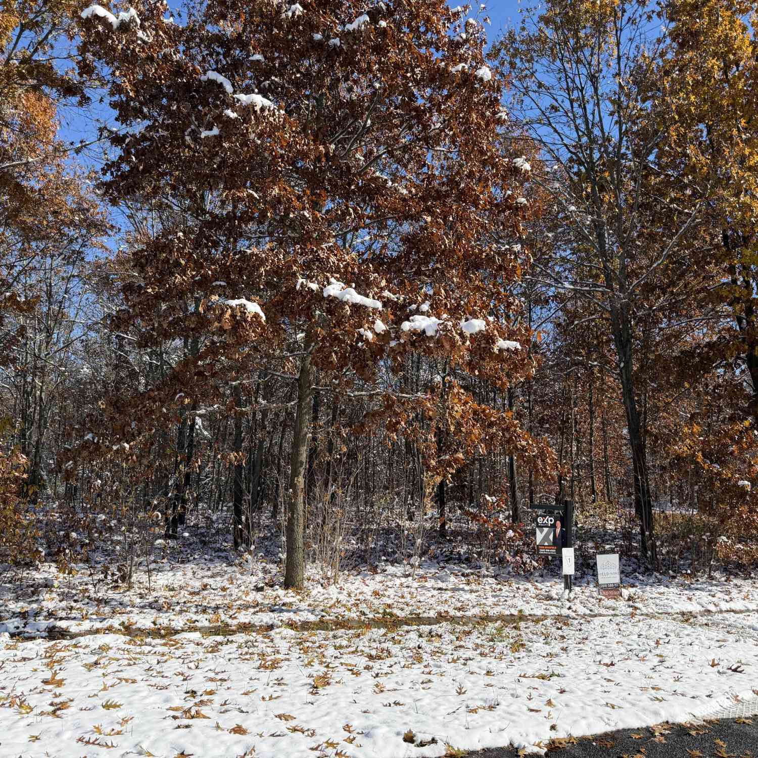 Vacant Land For Sale - 1301 Haven Way<br/> Kalamazoo, MI 49009