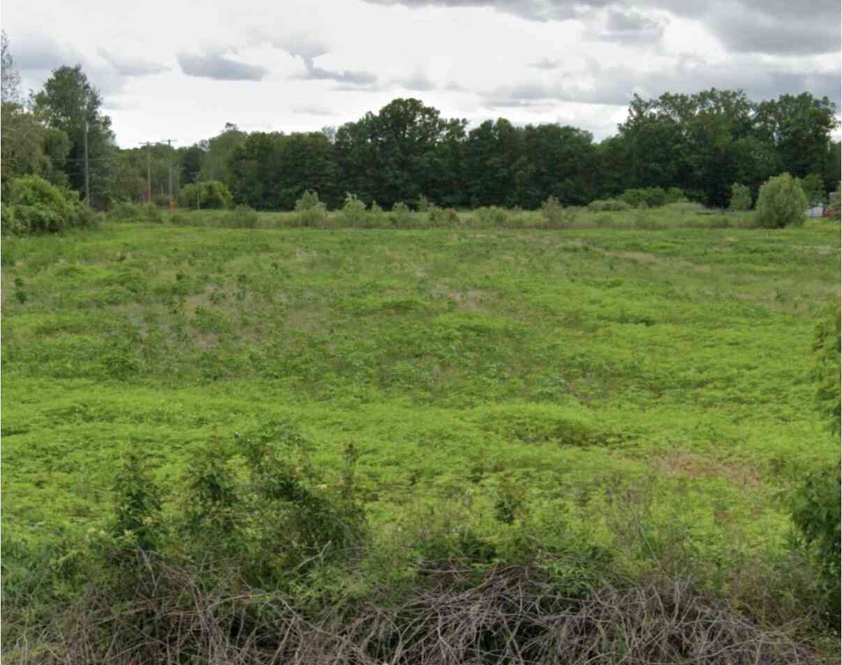 Vacant Land For Sale - LOT 1 Macey Road<br/> Willis, MI 48191