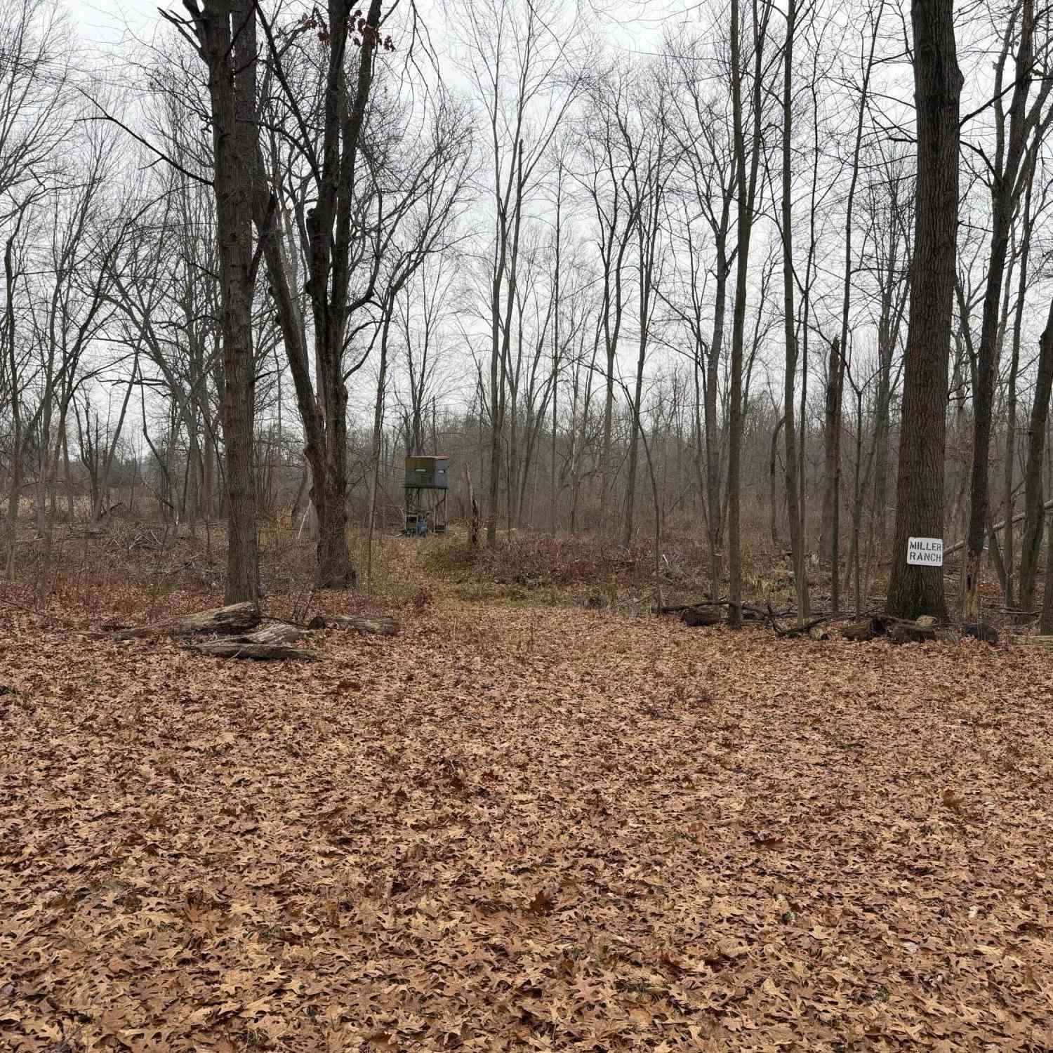 Vacant Land For Sale - Burtch Road<br/> Grass Lake, MI 49240
