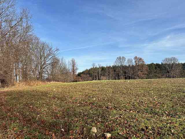 Vacant Land For Sale - Seymour Road #PARCEL C<br/> Grass Lake, MI 49240