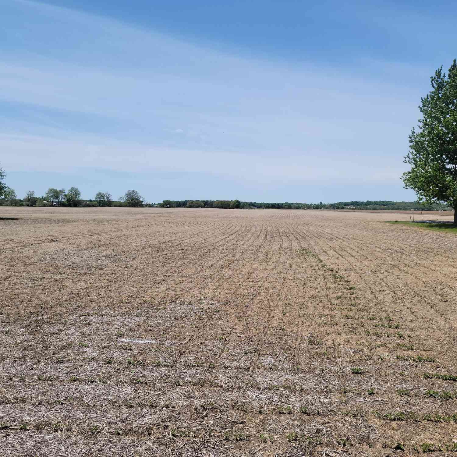 Vacant Land For Sale - Bawden Road<br/> Bronson, MI 49028