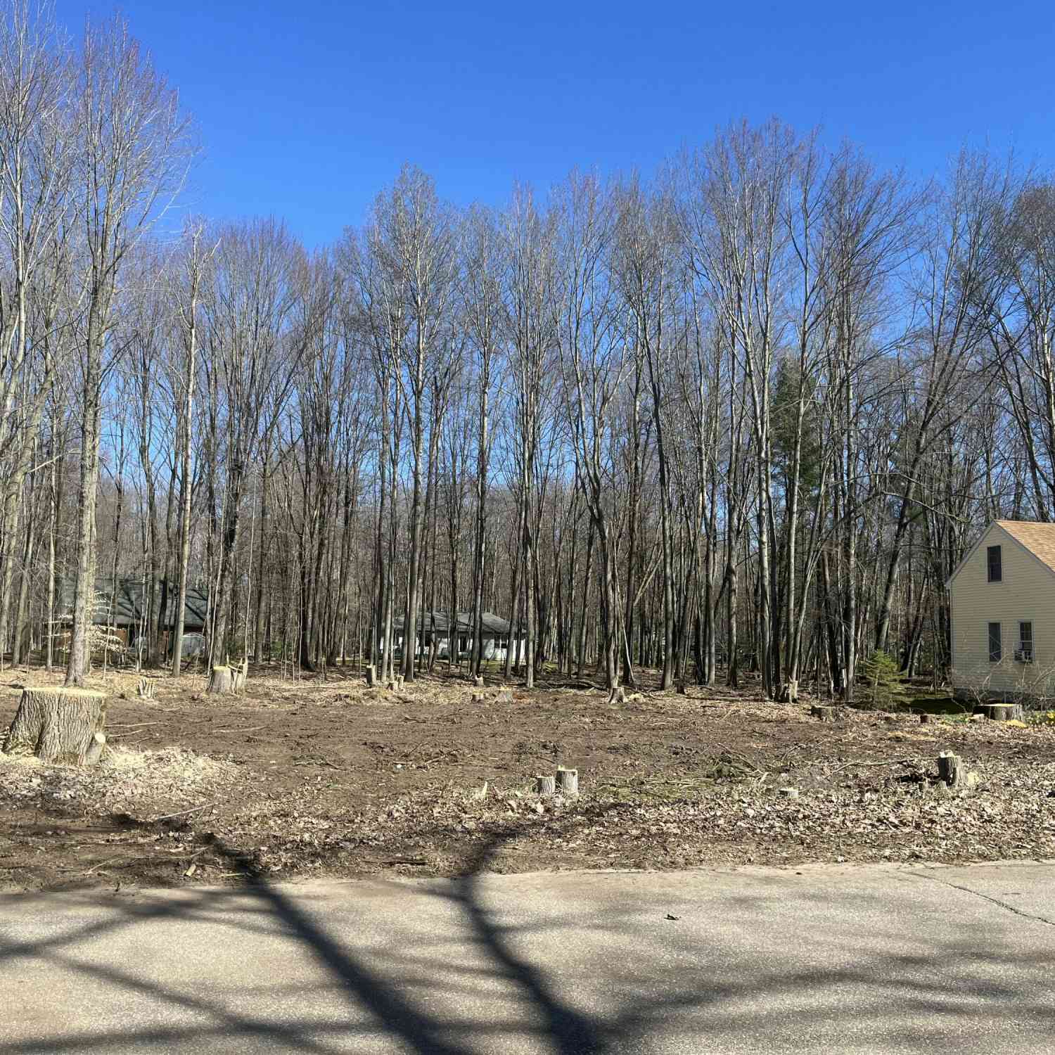 Vacant Land For Sale - 6754 Club House Drive<br/> Stanwood, MI 49346